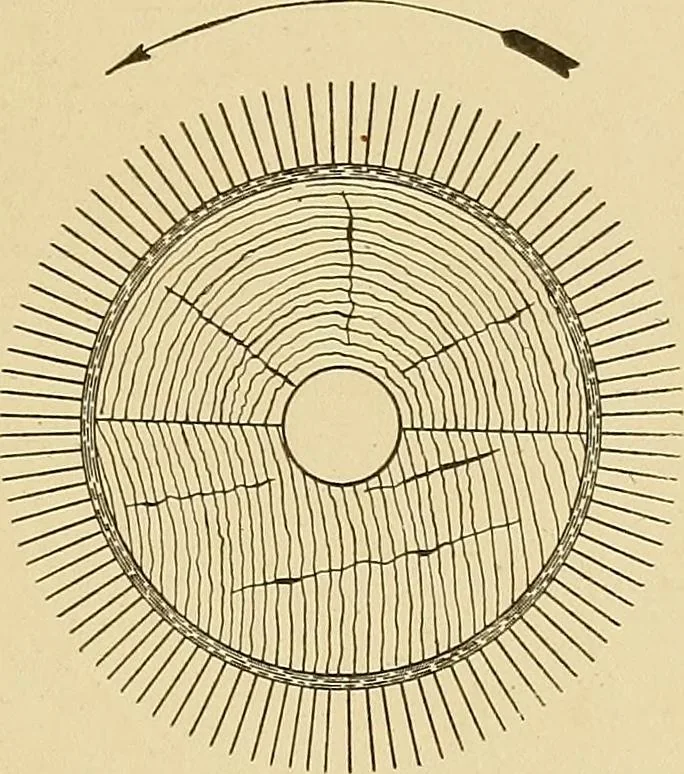 An illustration from Cyclopedia of textile work;, 1907, leaf 170