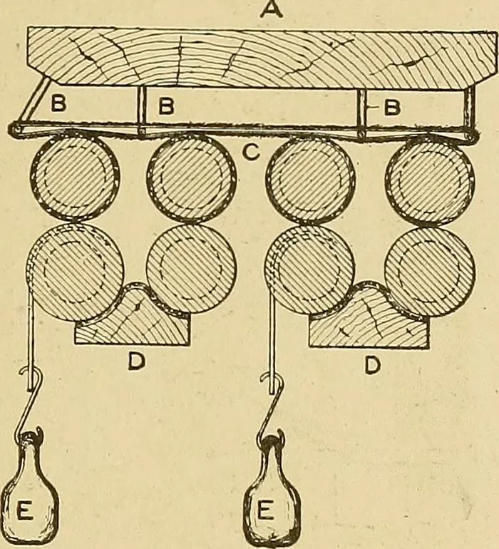 An illustration from Cyclopedia of textile work;, 1907, leaf 248