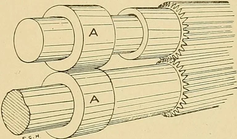 An illustration from Cyclopedia of textile work;, 1907, leaf 252