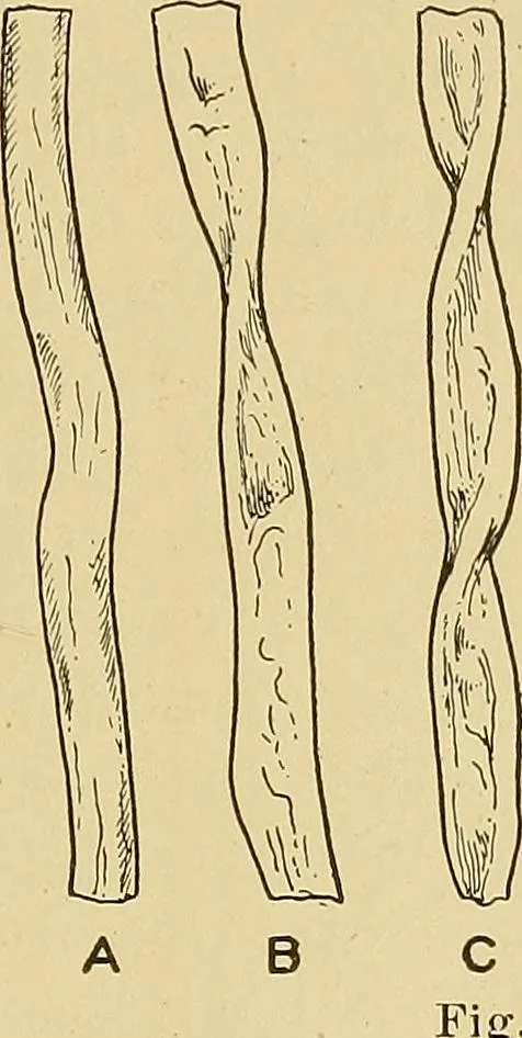 An illustration from Cyclopedia of textile work;, 1907, leaf 34