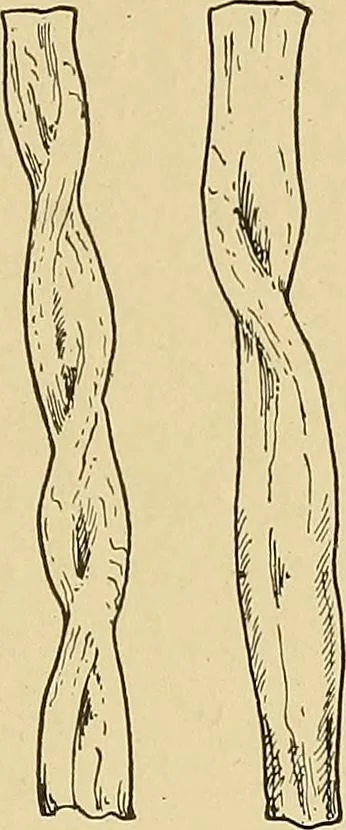 An illustration from Cyclopedia of textile work;, 1907, leaf 34
