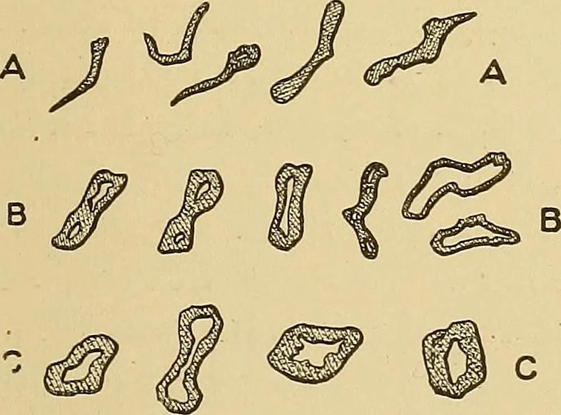 An illustration from Cyclopedia of textile work;, 1907, leaf 34