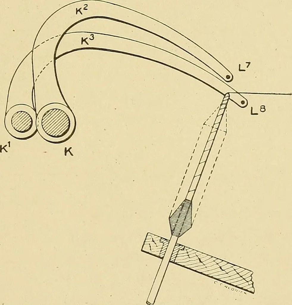 An illustration from Cyclopedia of textile work;, 1907, leaf 358