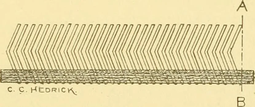 An illustration from Cyclopedia of textile work : a general reference library on cotton, woollen and worsted yarn manufacture, weaving, designing, chemistry and dyeing, finishing, knitting, and allied subjects, 1907, leaf 148