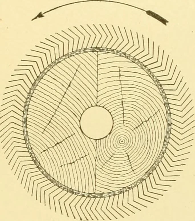 An illustration from Cyclopedia of textile work : a general reference library on cotton, woollen and worsted yarn manufacture, weaving, designing, chemistry and dyeing, finishing, knitting, and allied subjects, 1907, leaf 172