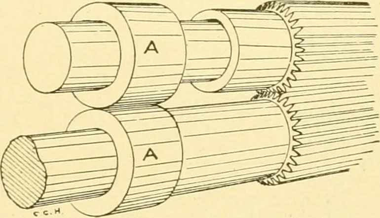 An illustration from Cyclopedia of textile work : a general reference library on cotton, woollen and worsted yarn manufacture, weaving, designing, chemistry and dyeing, finishing, knitting, and allied subjects, 1907, leaf 252