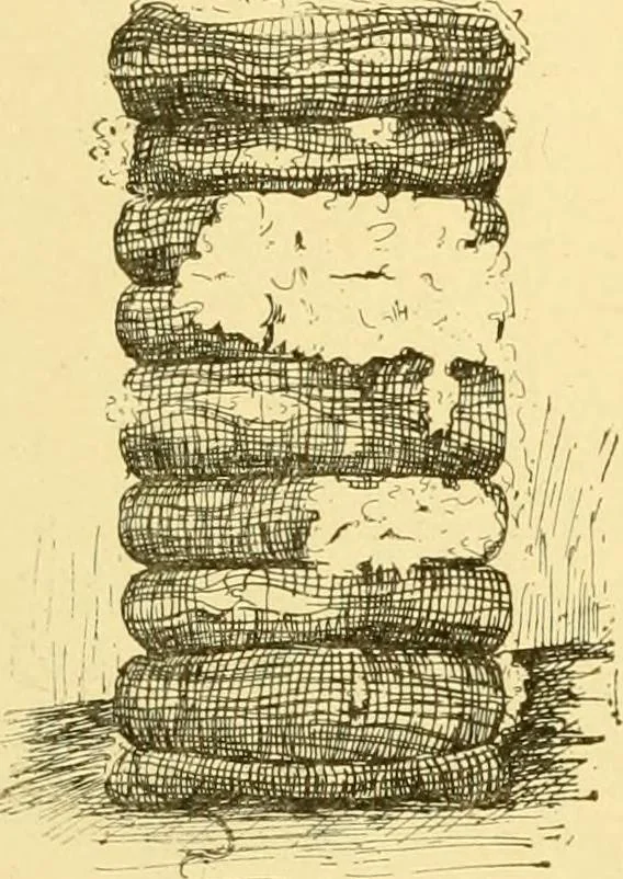 An illustration from Cyclopedia of textile work : a general reference library on cotton, woollen and worsted yarn manufacture, weaving, designing, chemistry and dyeing, finishing, knitting, and allied subjects, 1907, leaf 30