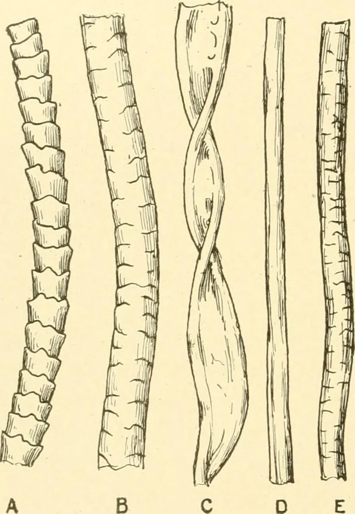 An illustration from Cyclopedia of textile work : a general reference library on cotton, woollen and worsted yarn manufacture, weaving, designing, chemistry and dyeing, finishing, knitting, and allied subjects, 1907, leaf 33