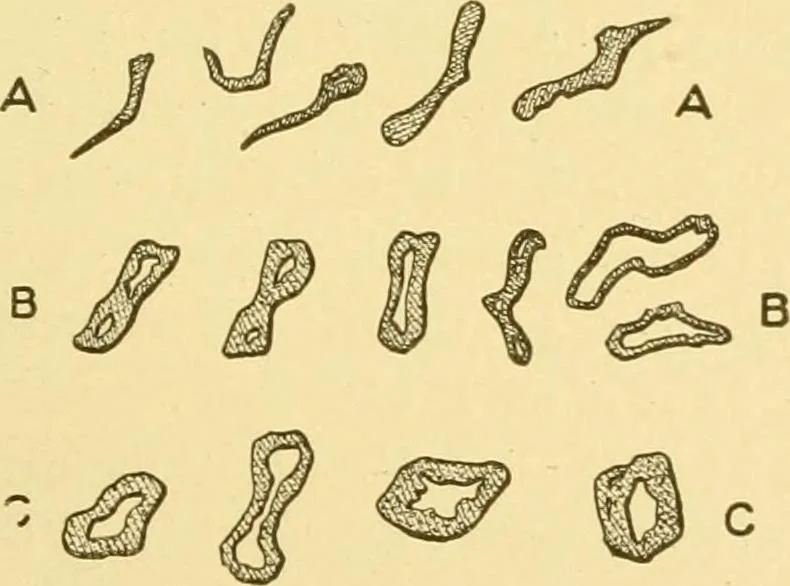 An illustration from Cyclopedia of textile work : a general reference library on cotton, woollen and worsted yarn manufacture, weaving, designing, chemistry and dyeing, finishing, knitting, and allied subjects, 1907, leaf 34