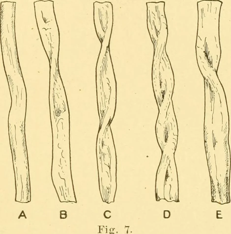 An illustration from Cyclopedia of textile work : a general reference library on cotton, woollen and worsted yarn manufacture, weaving, designing, chemistry and dyeing, finishing, knitting, and allied subjects, 1907, leaf 34