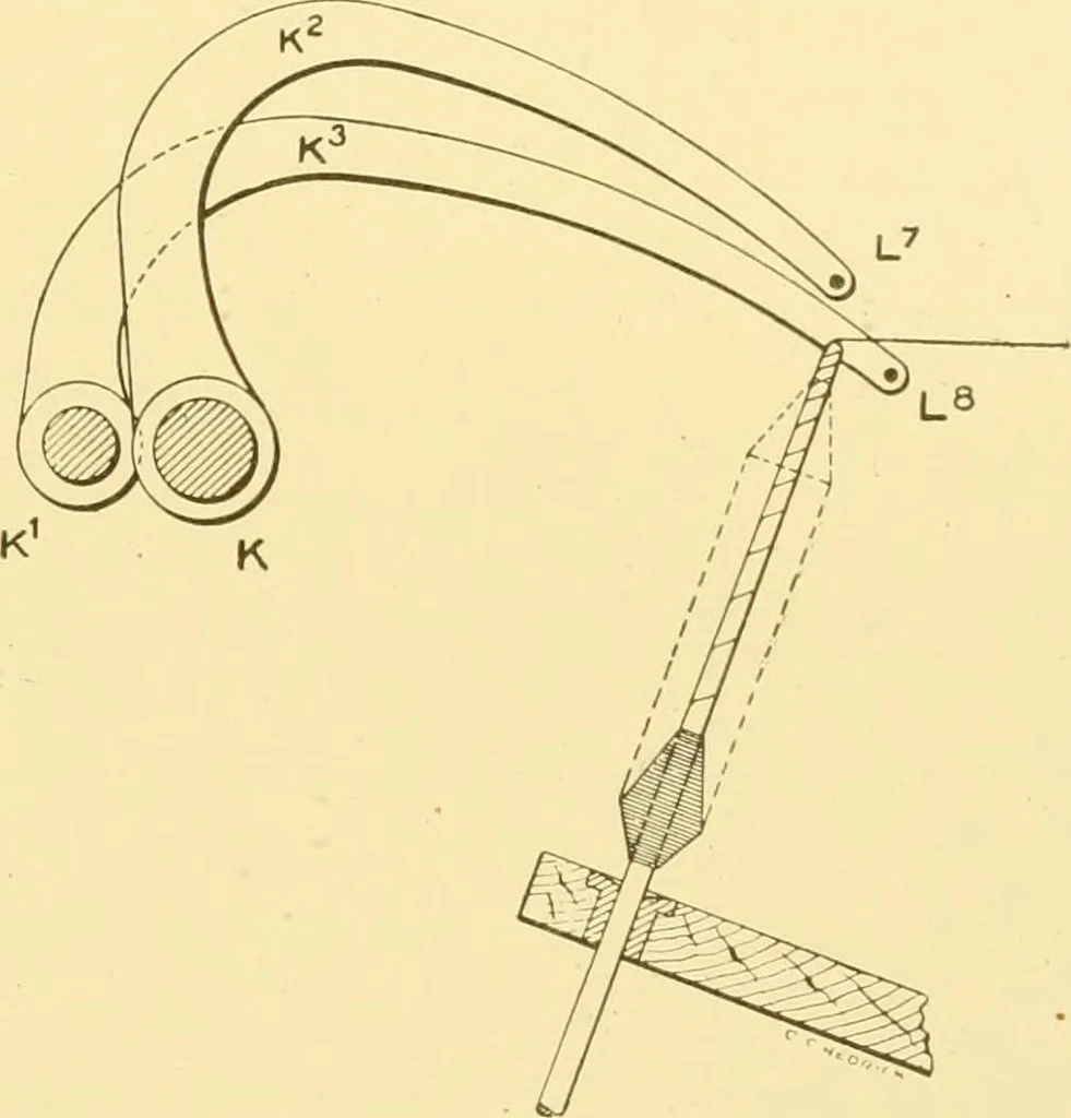 An illustration from Cyclopedia of textile work : a general reference library on cotton, woollen and worsted yarn manufacture, weaving, designing, chemistry and dyeing, finishing, knitting, and allied subjects, 1907, leaf 358