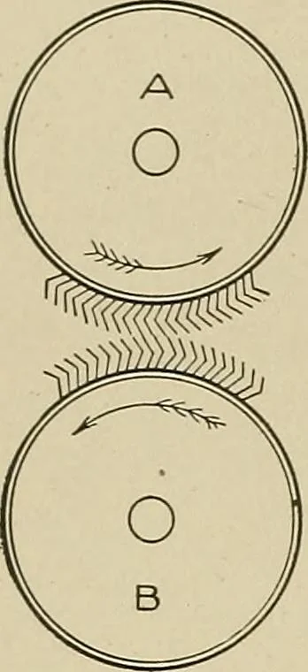 An illustration from Cyclopedia of textile work : a general reference library on cotton, woolen and worsted yarn manufacture, weaving, designing, chemistry and dyeing, finishing, knitting, and allied subjects, 1911, leaf 115