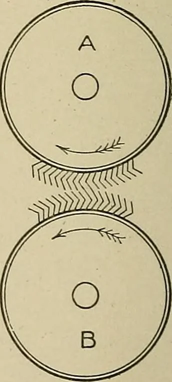 An illustration from Cyclopedia of textile work : a general reference library on cotton, woolen and worsted yarn manufacture, weaving, designing, chemistry and dyeing, finishing, knitting, and allied subjects, 1911, leaf 115