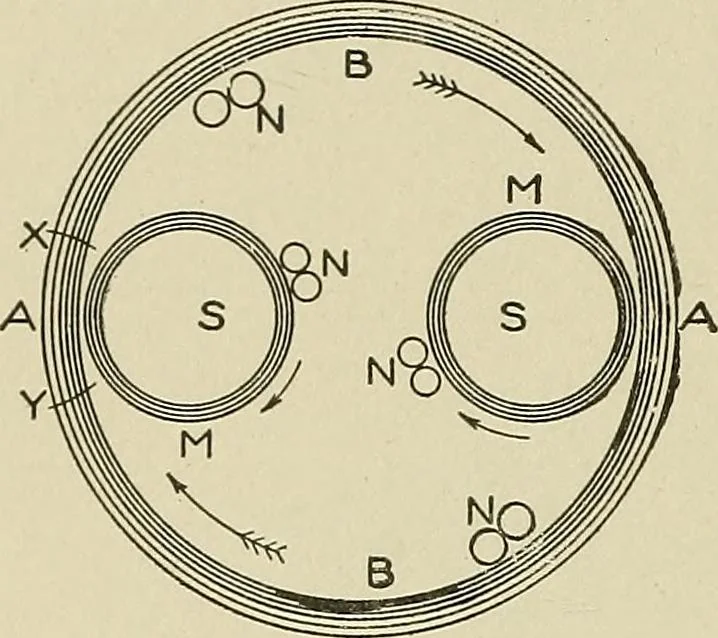 An illustration from Cyclopedia of textile work : a general reference library on cotton, woolen and worsted yarn manufacture, weaving, designing, chemistry and dyeing, finishing, knitting, and allied subjects, 1911, leaf 205