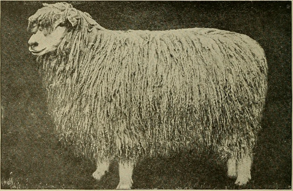An illustration from Cyclopedia of textile work : a general reference library on cotton, woolen and worsted yarn manufacture, weaving, designing, chemistry and dyeing, finishing, knitting, and allied subjects, 1911, leaf 21