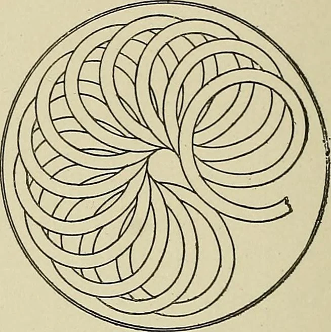 An illustration from Cyclopedia of textile work : a general reference library on cotton, woolen and worsted yarn manufacture, weaving, designing, chemistry and dyeing, finishing, knitting, and allied subjects, 1911, leaf 213