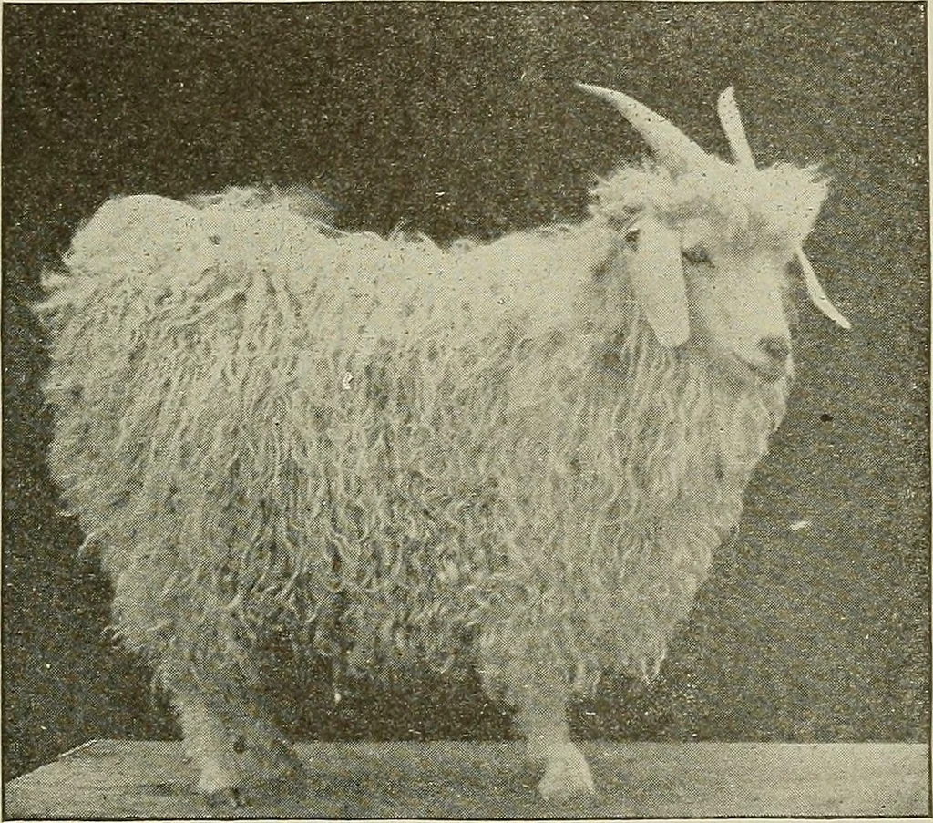 An illustration from Cyclopedia of textile work : a general reference library on cotton, woolen and worsted yarn manufacture, weaving, designing, chemistry and dyeing, finishing, knitting, and allied subjects, 1911, leaf 28