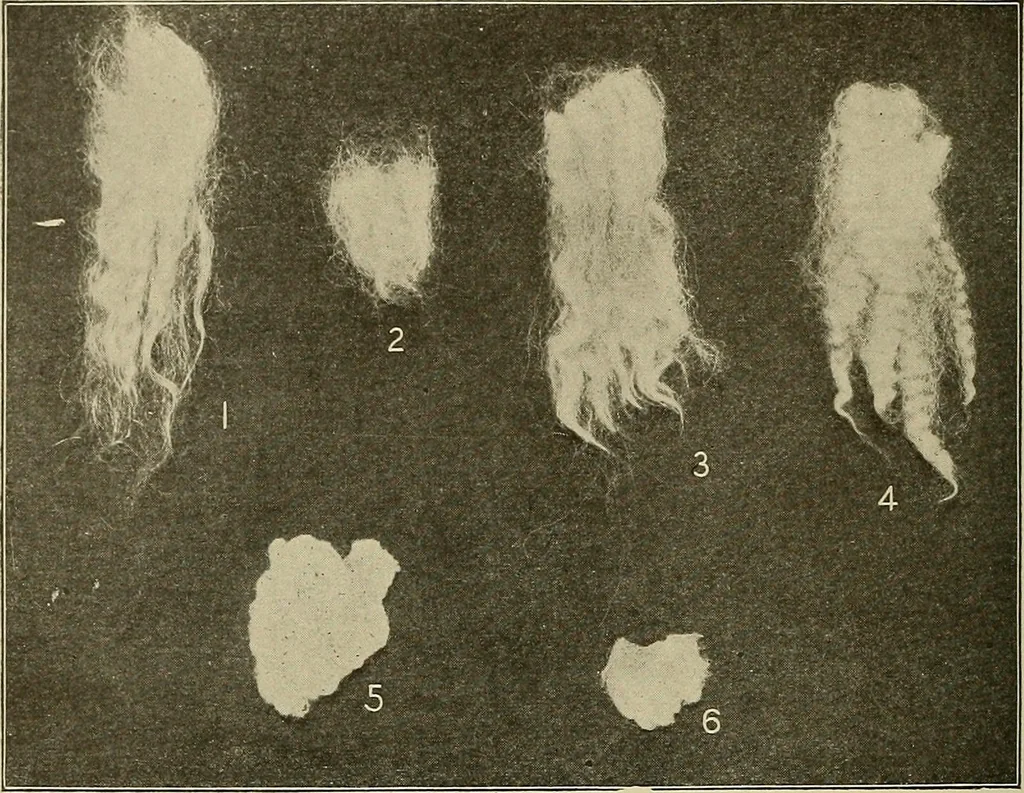 An illustration from Cyclopedia of textile work : a general reference library on cotton, woolen and worsted yarn manufacture, weaving, designing, chemistry and dyeing, finishing, knitting, and allied subjects, 1911, leaf 29