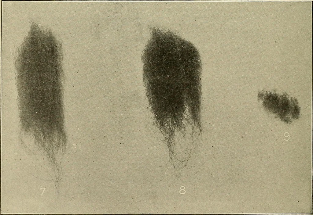 An illustration from Cyclopedia of textile work : a general reference library on cotton, woolen and worsted yarn manufacture, weaving, designing, chemistry and dyeing, finishing, knitting, and allied subjects, 1911, leaf 29