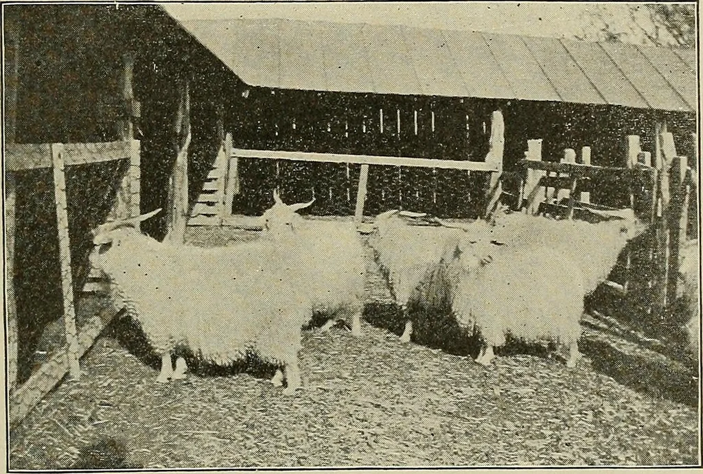 An illustration from Cyclopedia of textile work : a general reference library on cotton, woolen and worsted yarn manufacture, weaving, designing, chemistry and dyeing, finishing, knitting, and allied subjects, 1911, leaf 30