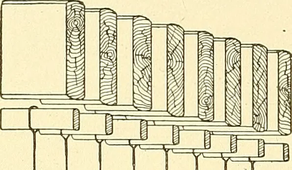 An illustration from Cyclopedia of textile work : a general reference library on cotton, woolen and worsted yarn manufacture, weaving, designing, chemistry and dyeing, finishing, knitting, and allied subjects, 1911, leaf 103