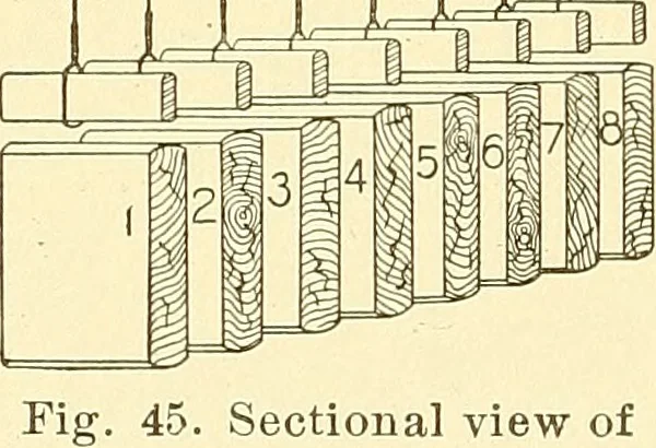 An illustration from Cyclopedia of textile work : a general reference library on cotton, woolen and worsted yarn manufacture, weaving, designing, chemistry and dyeing, finishing, knitting, and allied subjects, 1911, leaf 103