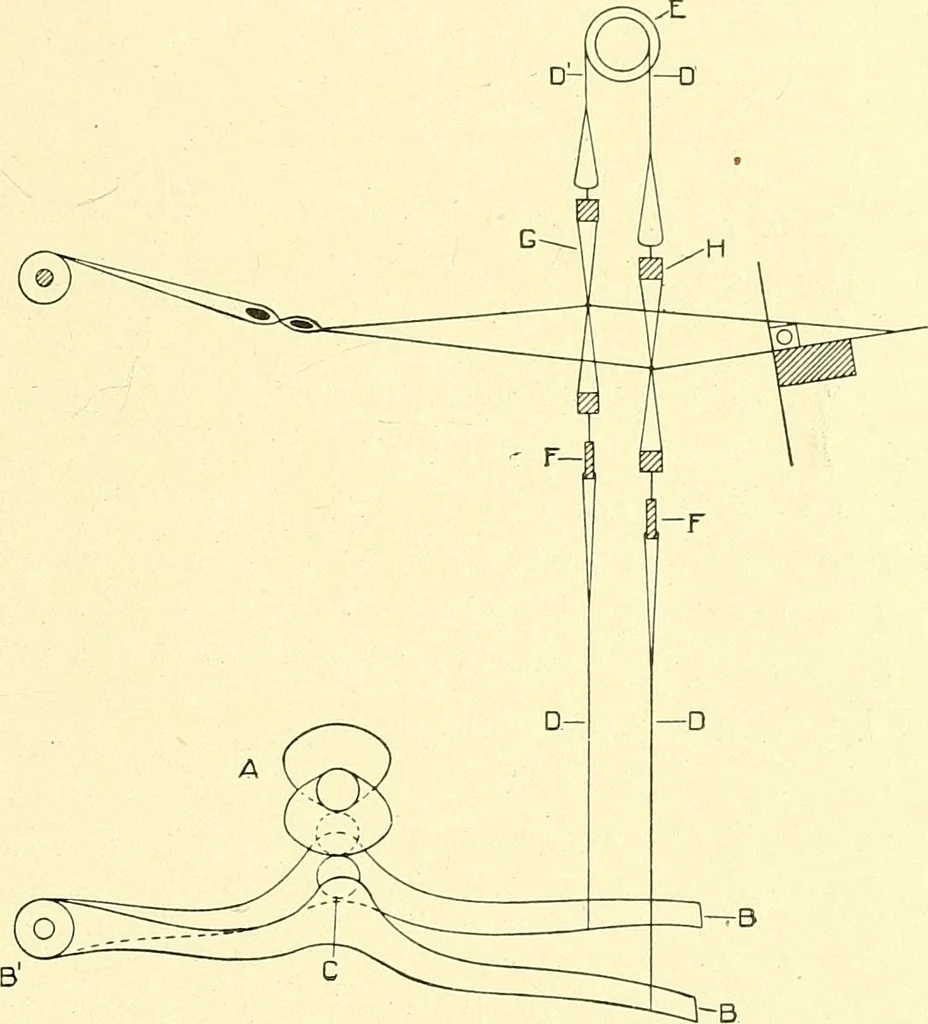 An illustration from Cyclopedia of textile work : a general reference library on cotton, woolen and worsted yarn manufacture, weaving, designing, chemistry and dyeing, finishing, knitting, and allied subjects, 1911, leaf 114