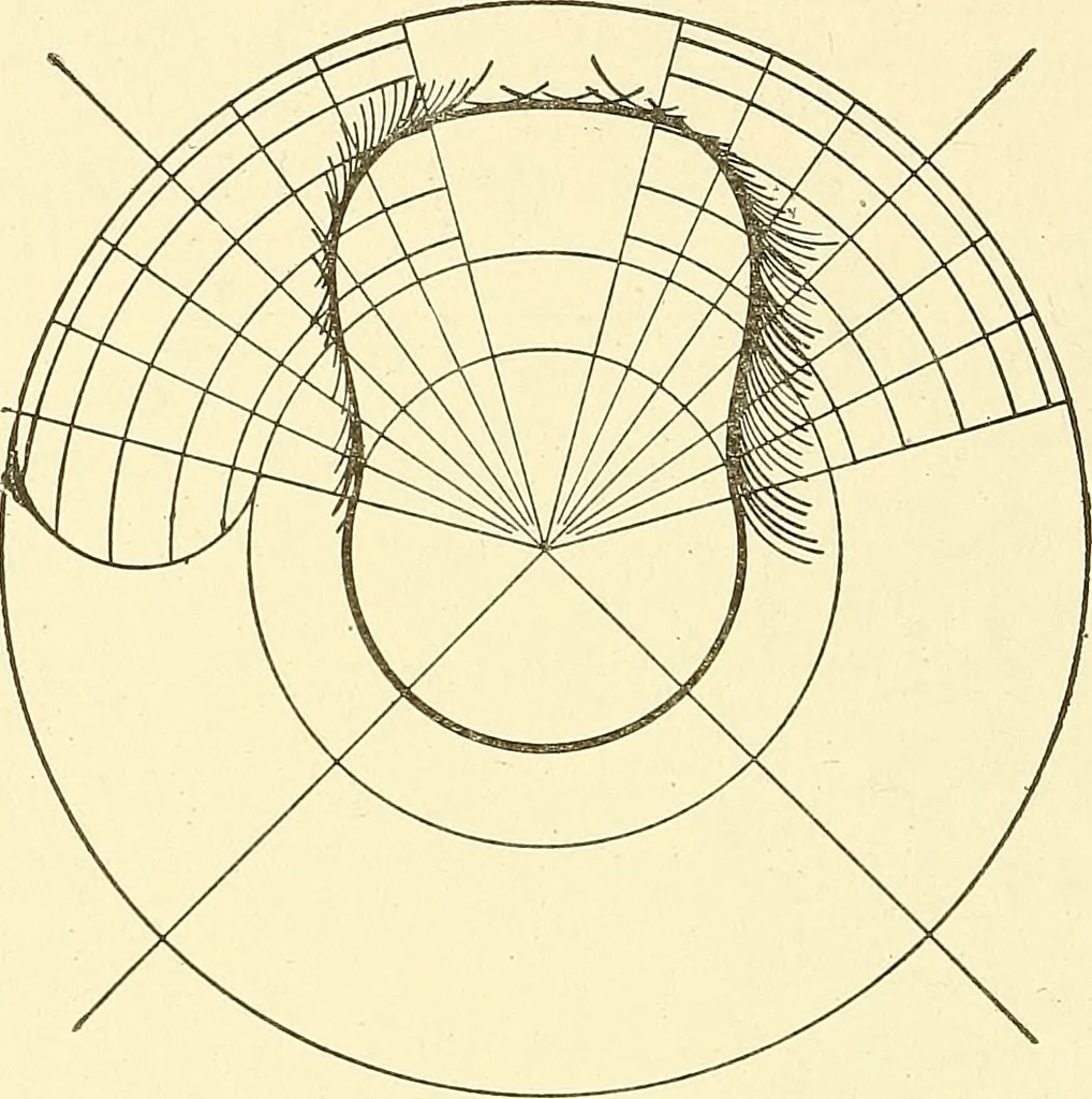 An illustration from Cyclopedia of textile work : a general reference library on cotton, woolen and worsted yarn manufacture, weaving, designing, chemistry and dyeing, finishing, knitting, and allied subjects, 1911, leaf 135
