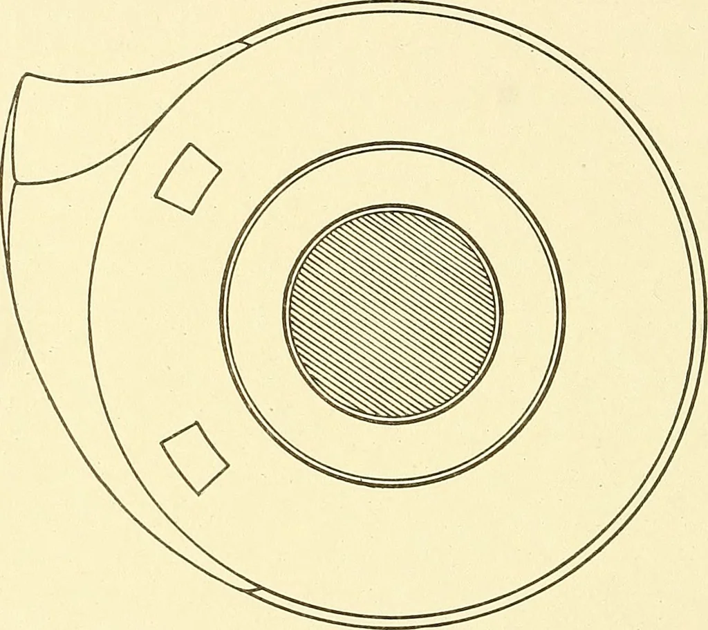 An illustration from Cyclopedia of textile work : a general reference library on cotton, woolen and worsted yarn manufacture, weaving, designing, chemistry and dyeing, finishing, knitting, and allied subjects, 1911, leaf 147