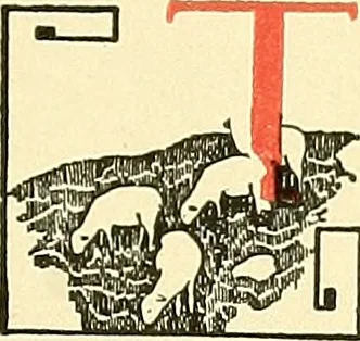 An illustration from Cyclopedia of textile work : a general reference library on cotton, woolen and worsted yarn manufacture, weaving, designing, chemistry and dyeing, finishing, knitting, and allied subjects, 1911, leaf 16