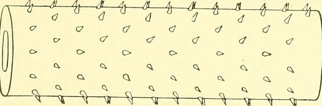 An illustration from Cyclopedia of textile work : a general reference library on cotton, woolen and worsted yarn manufacture, weaving, designing, chemistry and dyeing, finishing, knitting, and allied subjects, 1911, leaf 230
