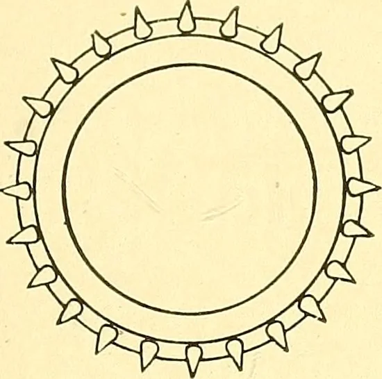 An illustration from Cyclopedia of textile work : a general reference library on cotton, woolen and worsted yarn manufacture, weaving, designing, chemistry and dyeing, finishing, knitting, and allied subjects, 1911, leaf 238