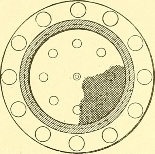 An illustration from Cyclopedia of textile work : a general reference library on cotton, woolen and worsted yarn manufacture, weaving, designing, chemistry and dyeing, finishing, knitting, and allied subjects, 1911, leaf 60