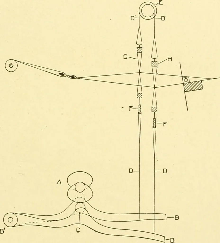 An illustration from Cyclopedia of textile work : a general reference library on cotton, woollen and worsted yarn manufacture, weaving, designing, chemistry and dyeing, finishing, knitting, and allied subjects, 1907, leaf 113