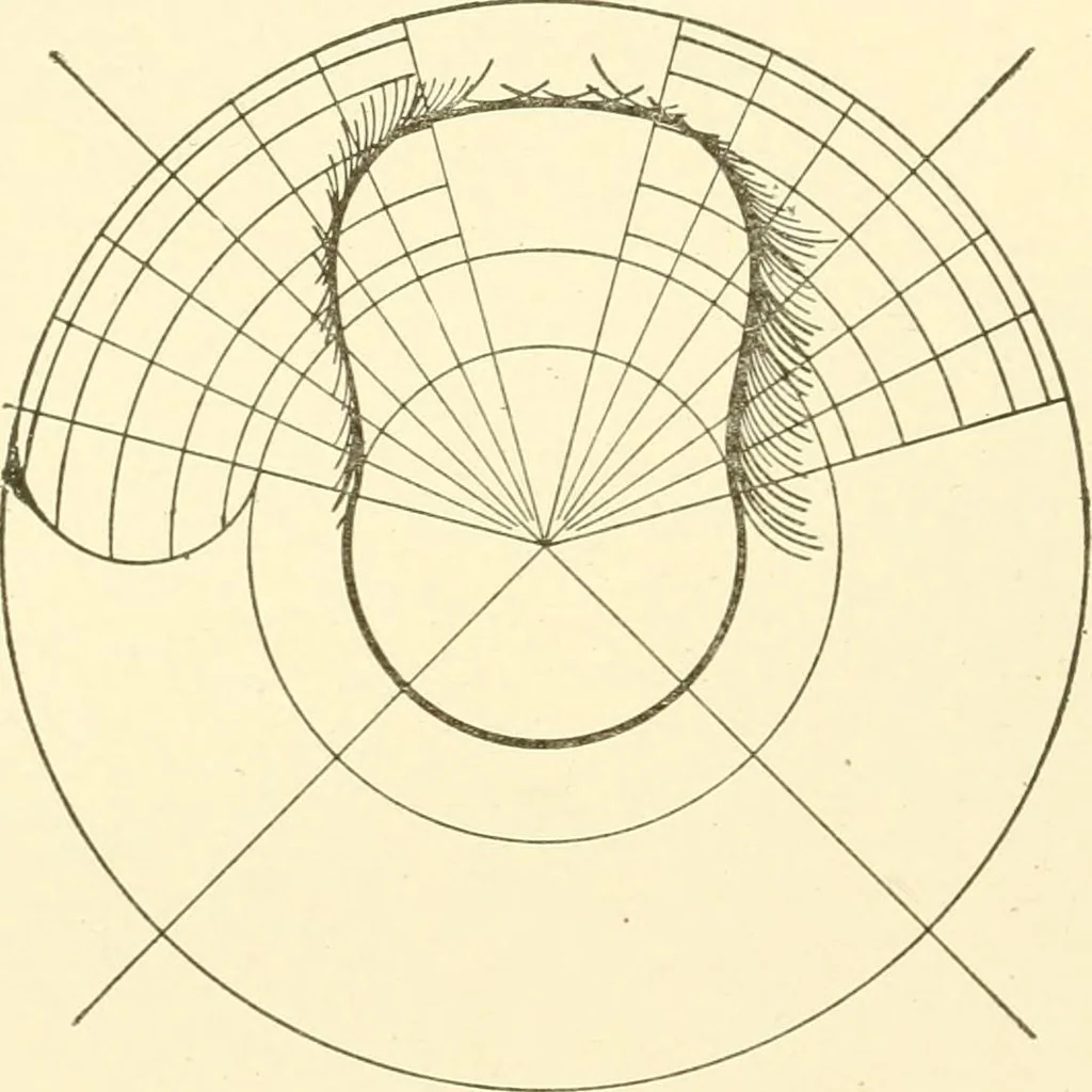 An illustration from Cyclopedia of textile work : a general reference library on cotton, woollen and worsted yarn manufacture, weaving, designing, chemistry and dyeing, finishing, knitting, and allied subjects, 1907, leaf 134