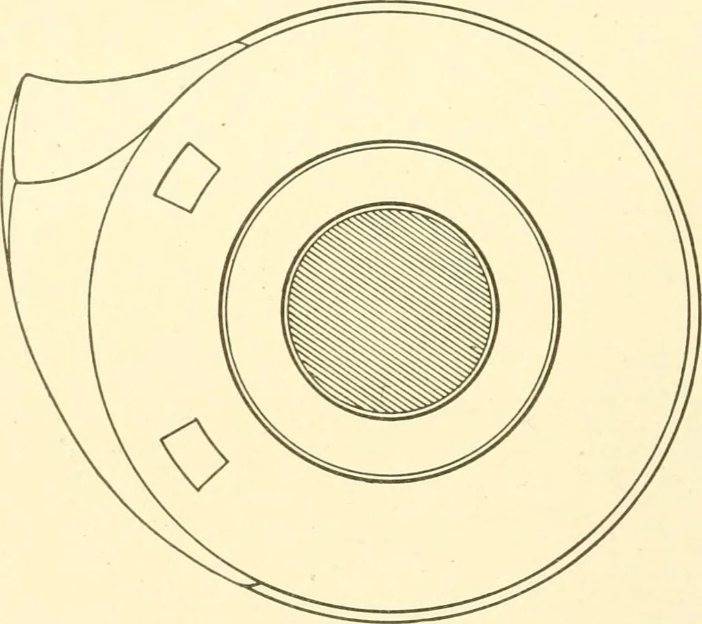 An illustration from Cyclopedia of textile work : a general reference library on cotton, woollen and worsted yarn manufacture, weaving, designing, chemistry and dyeing, finishing, knitting, and allied subjects, 1907, leaf 146