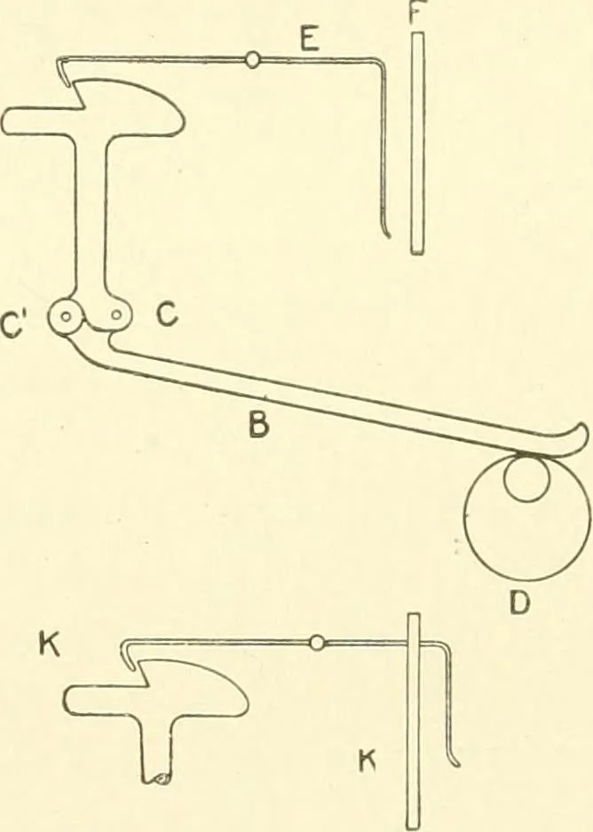 An illustration from Cyclopedia of textile work : a general reference library on cotton, woollen and worsted yarn manufacture, weaving, designing, chemistry and dyeing, finishing, knitting, and allied subjects, 1907, leaf 190
