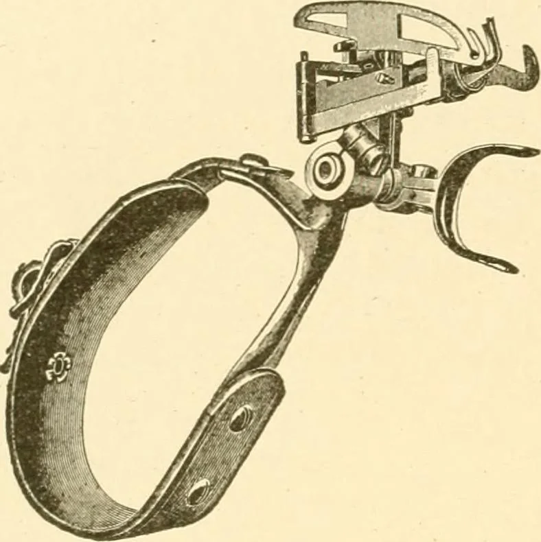 An illustration from Cyclopedia of textile work : a general reference library on cotton, woollen and worsted yarn manufacture, weaving, designing, chemistry and dyeing, finishing, knitting, and allied subjects, 1907, leaf 26