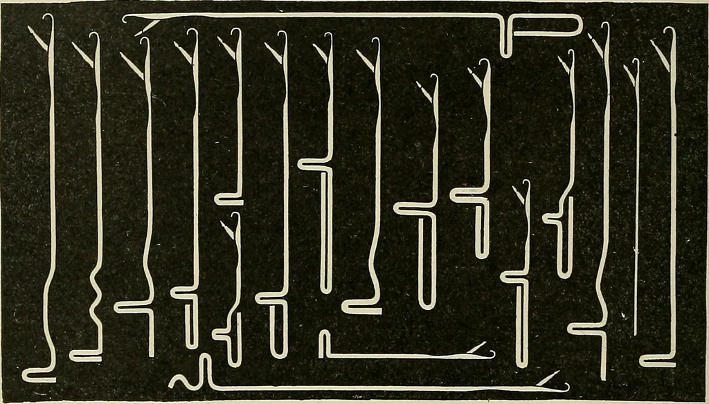 An illustration from Cyclopedia of textile work : a general reference library on cotton, woolen and worsted yarn manufacture, weaving, designing, chemistry and dyeing, finishing, knitting, and allied subjects, 1911, leaf 115