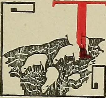 An illustration from Cyclopedia of textile work : a general reference library on cotton, woolen and worsted yarn manufacture, weaving, designing, chemistry and dyeing, finishing, knitting, and allied subjects, 1911, leaf 16