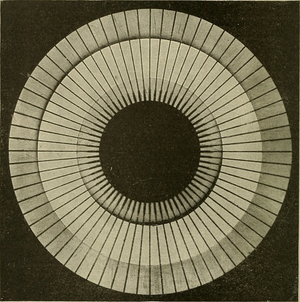 An illustration from Cyclopedia of textile work : a general reference library on cotton, woolen and worsted yarn manufacture, weaving, designing, chemistry and dyeing, finishing, knitting, and allied subjects, 1911, leaf 189