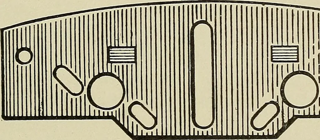 An illustration from Cyclopedia of textile work : a general reference library on cotton, woolen and worsted yarn manufacture, weaving, designing, chemistry and dyeing, finishing, knitting, and allied subjects, 1911, leaf 226
