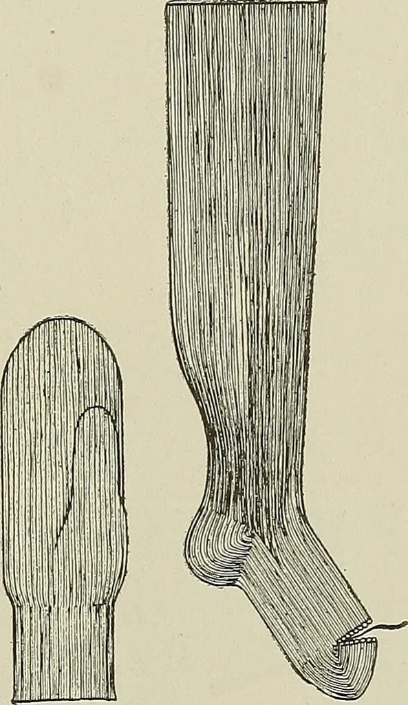 An illustration from Cyclopedia of textile work : a general reference library on cotton, woolen and worsted yarn manufacture, weaving, designing, chemistry and dyeing, finishing, knitting, and allied subjects, 1911, leaf 252
