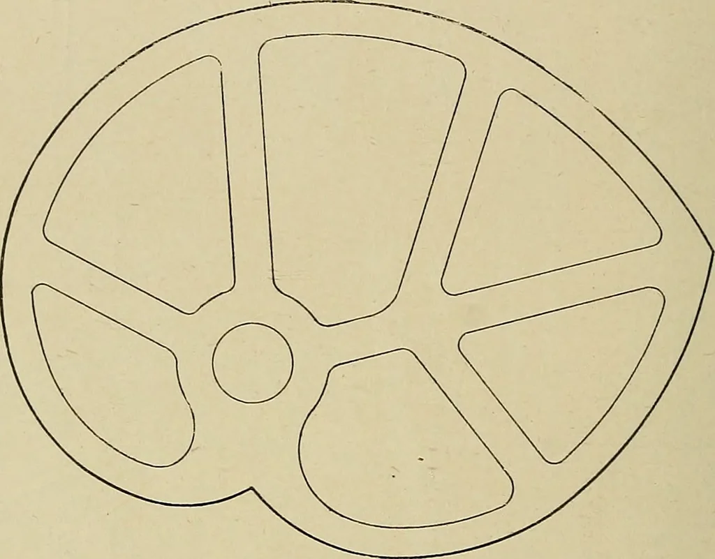 An illustration from Cyclopedia of textile work : a general reference library on cotton, woolen and worsted yarn manufacture, weaving, designing, chemistry and dyeing, finishing, knitting, and allied subjects, 1911, leaf 27