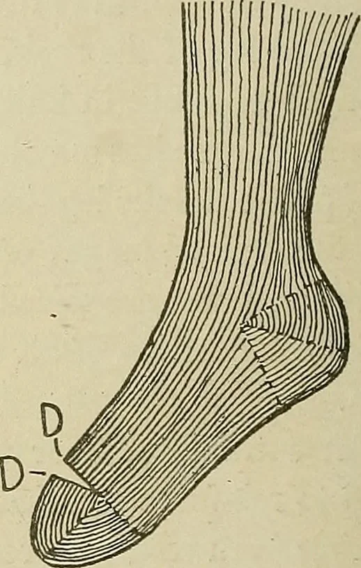 An illustration from Cyclopedia of textile work : a general reference library on cotton, woolen and worsted yarn manufacture, weaving, designing, chemistry and dyeing, finishing, knitting, and allied subjects, 1911, leaf 281