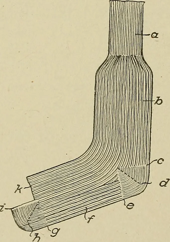 An illustration from Cyclopedia of textile work : a general reference library on cotton, woolen and worsted yarn manufacture, weaving, designing, chemistry and dyeing, finishing, knitting, and allied subjects, 1911, leaf 305