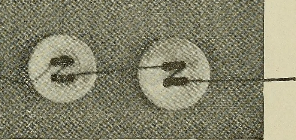 An illustration from Cyclopedia of textile work : a general reference library on cotton, woolen and worsted yarn manufacture, weaving, designing, chemistry and dyeing, finishing, knitting, and allied subjects, 1911, leaf 354