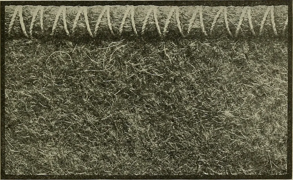 An illustration from Cyclopedia of textile work : a general reference library on cotton, woolen and worsted yarn manufacture, weaving, designing, chemistry and dyeing, finishing, knitting, and allied subjects, 1911, leaf 370