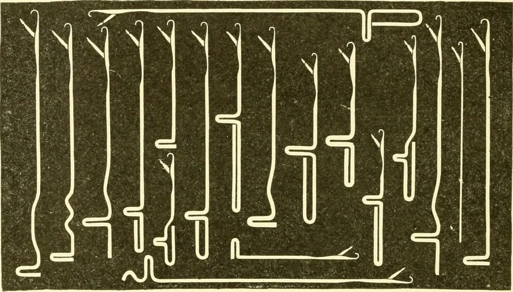 An illustration from Cyclopedia of textile work : a general reference library on cotton, woollen and worsted yarn manufacture, weaving, designing, chemistry and dyeing, finishing, knitting, and allied subjects, 1907, leaf 110
