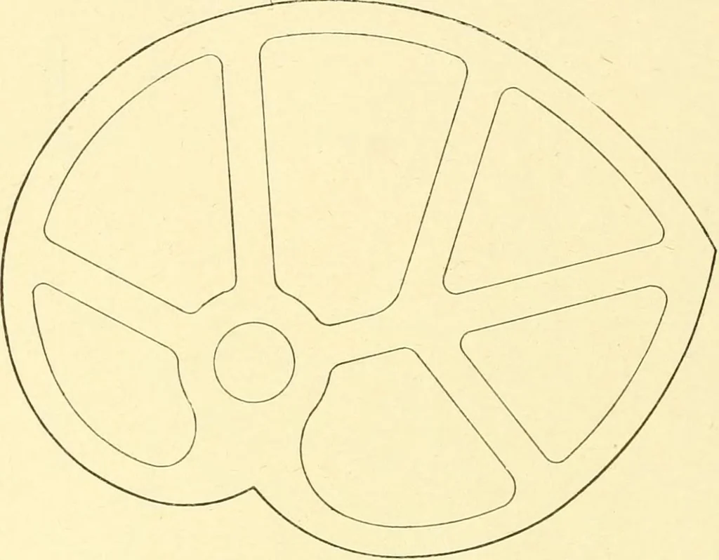 An illustration from Cyclopedia of textile work : a general reference library on cotton, woollen and worsted yarn manufacture, weaving, designing, chemistry and dyeing, finishing, knitting, and allied subjects, 1907, leaf 24